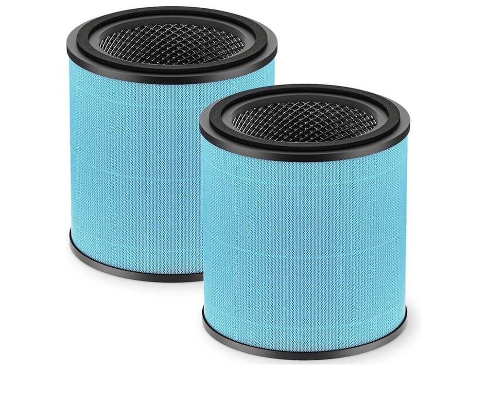 Petox AP0601 Replacement Filter 2-Pack True HEPA
